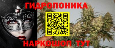 индика Нарткала