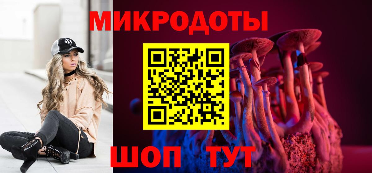Псилоцибиновые грибы мицелий Сочи